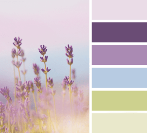 Vintage Lavander - Shabby Chic Colour Palette