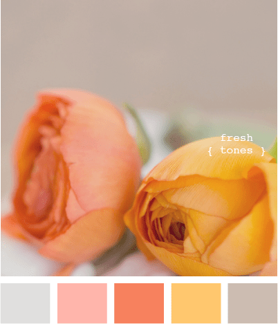 Vintage Orange - Shabby Chic Colour Palette