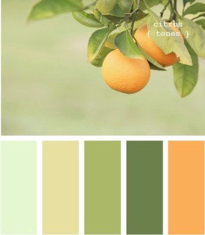 Citrus - Green Power Colour Palette