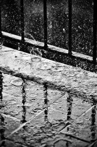 Rain 27
