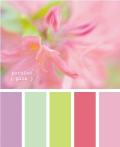 Life is unexpectedly Pink 2