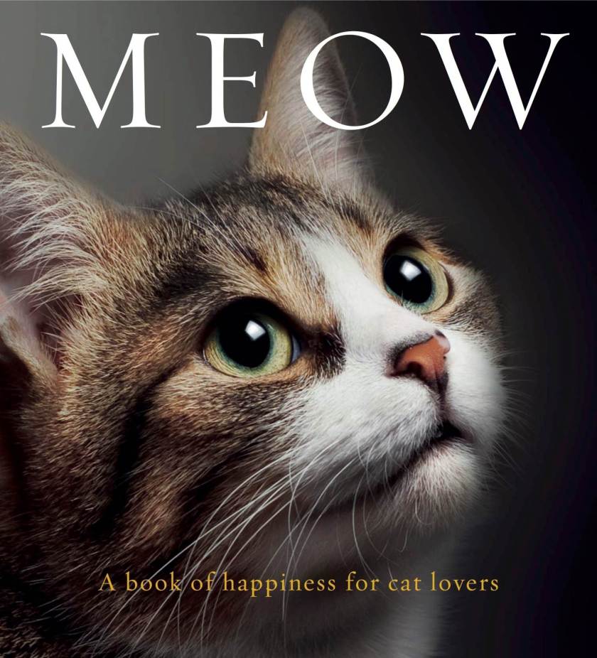 Meow-a-book-of-happiness-for-cat-lover