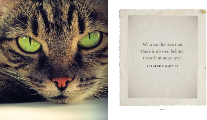 Meow-a-book-of-happiness-for-cat-lover2
