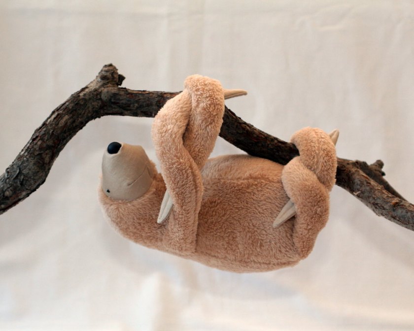 sloth 2 by andreavida