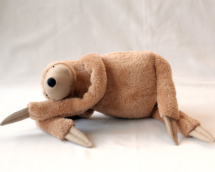 sloth 3 by andreavida