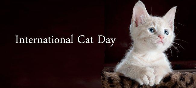 InternationalCatDay2016