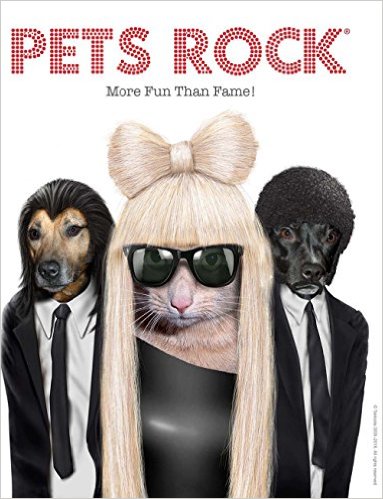 Pets Rock