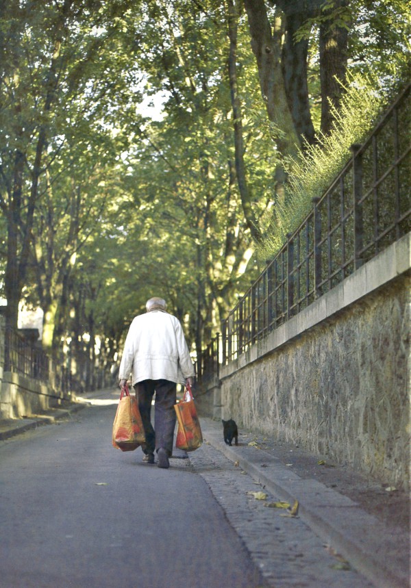Traveling Cats Cimetière Montmartre