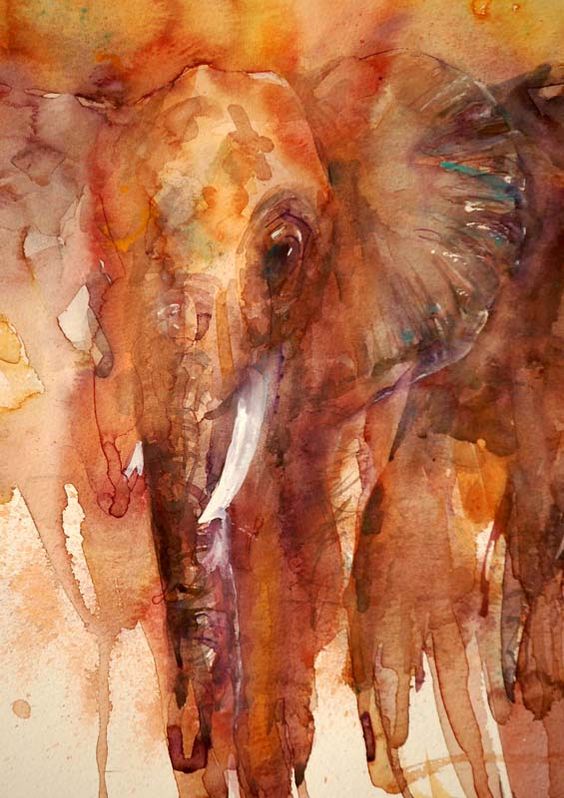 PotterClay17 PotterClay17