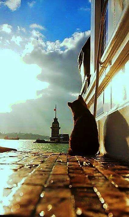 PotterClay32 PotterClay32