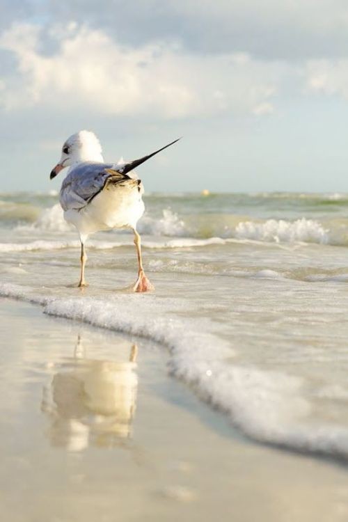 Photo by The Bike Basket Girl