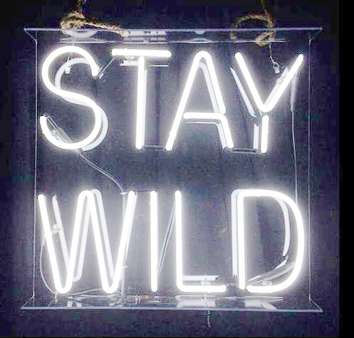 StayWild